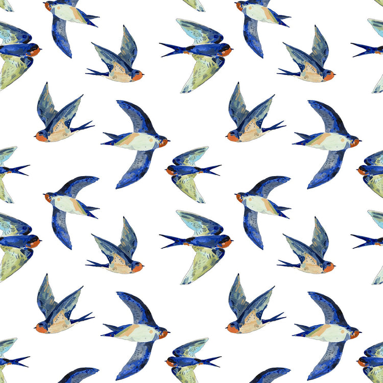 Birds