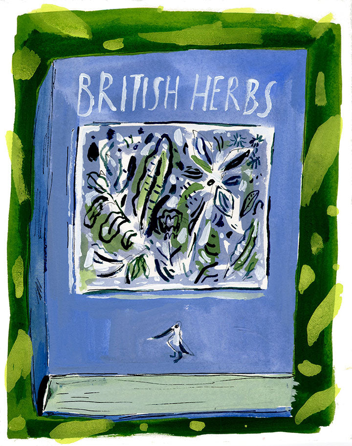 British Herbs, painting on paper