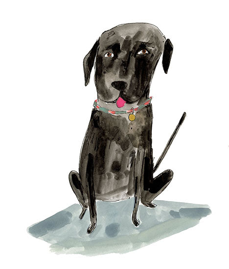 Small dog portraits, 5" by 7"