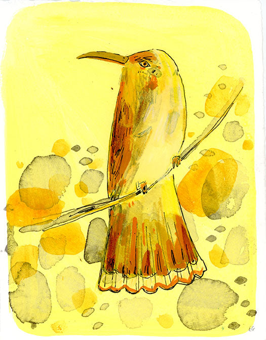 Bee eater bird, painting on paper