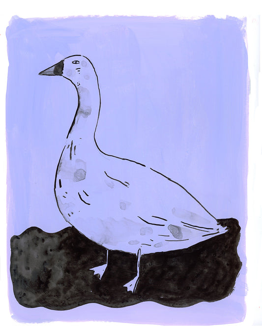 Goose, painting on paper