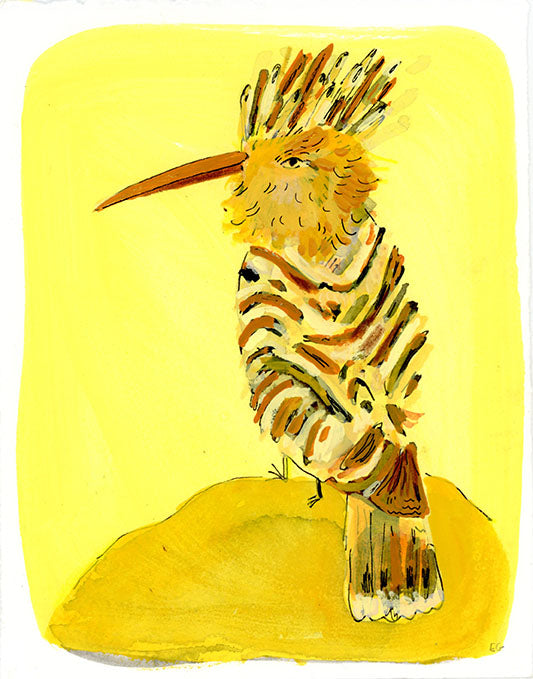 Crested Hoopee bird, painting on paper