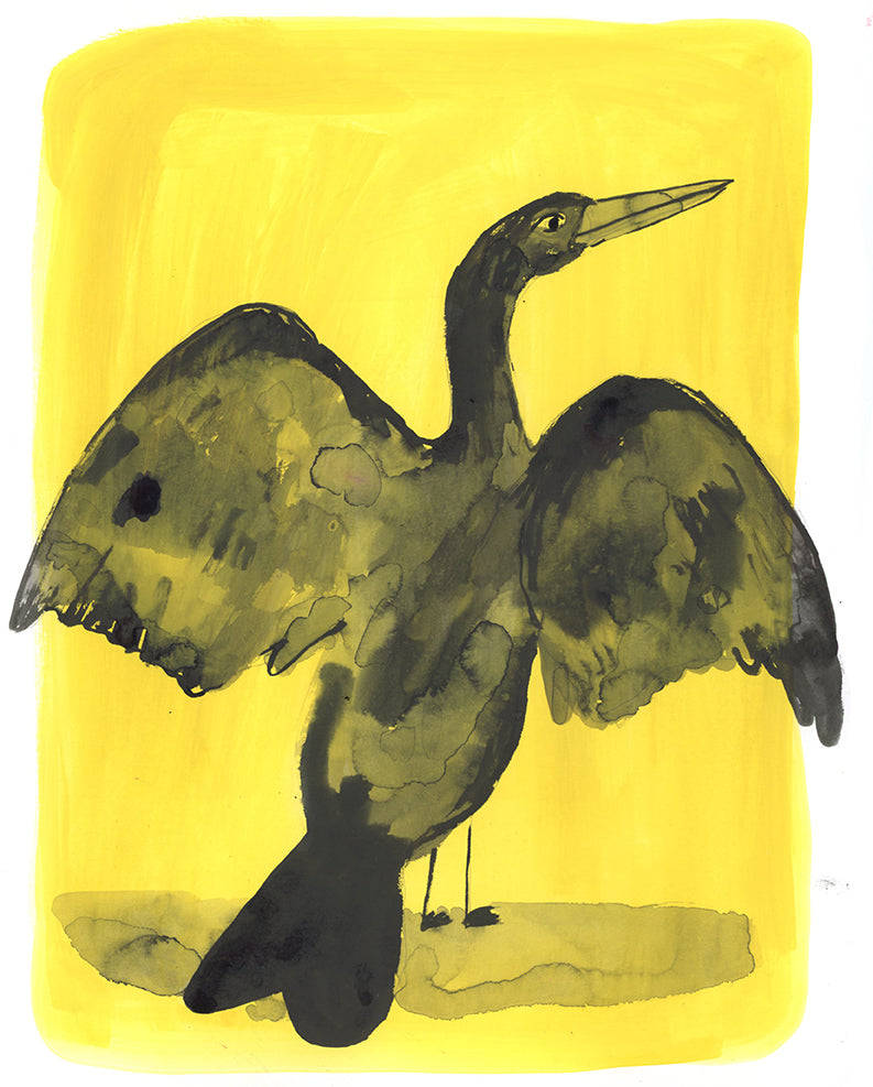 Double Crested Cormorant, painting on paper