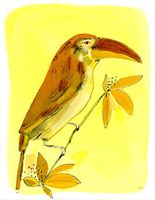 Saffron Toucan bird, painting on paper