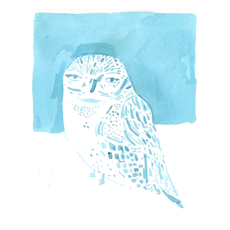 Elf Owl, ink wash on paper