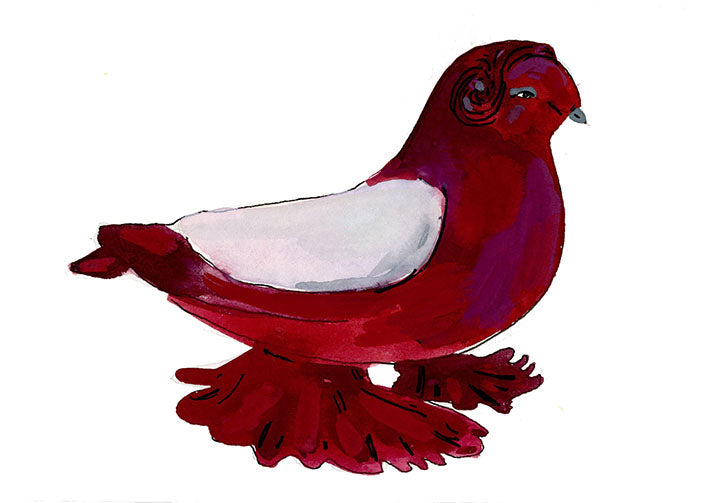 Red Russian Trumpeter Pigeon, painting on paper