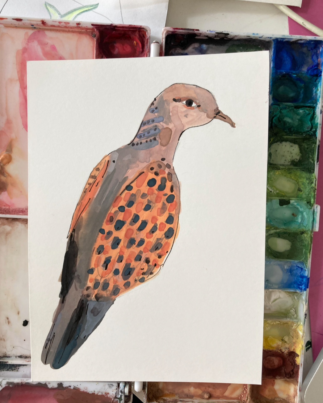 Turtle Dove, painting on paper