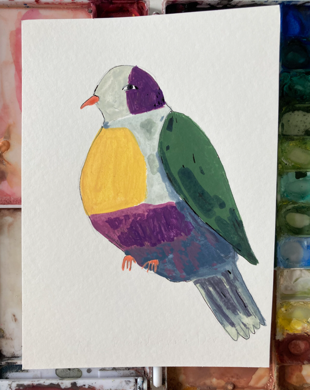 Yellow- Breasted Fruit Dove, painting on paper