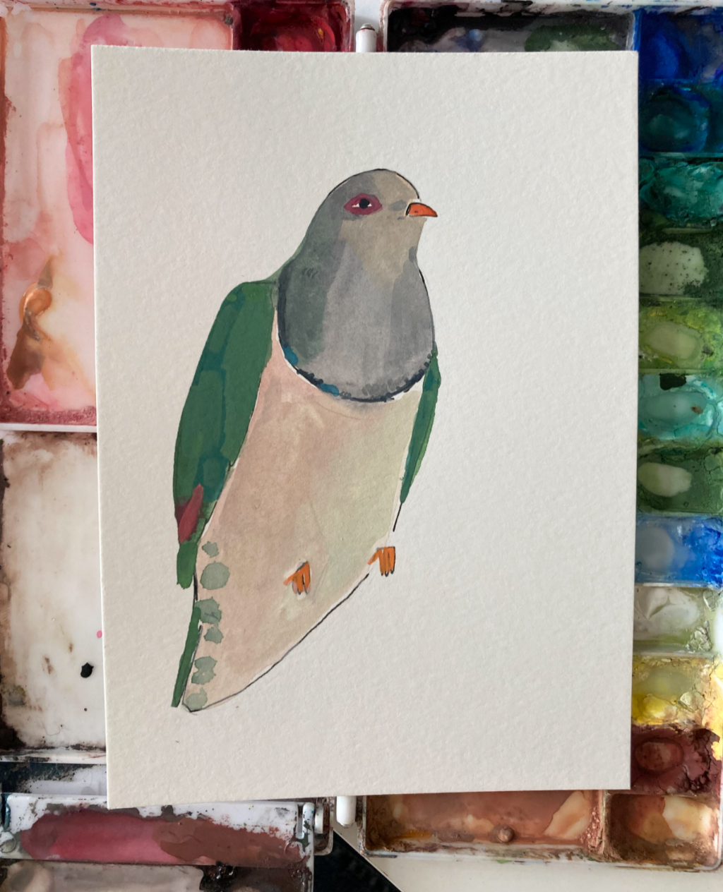Cream Bellied Fruit Dove, painting on paper