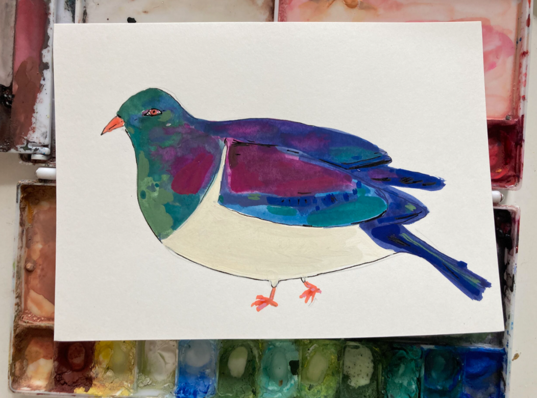New Zealand Wood Pigeon, painting on paper