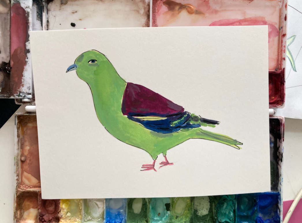 Pompadour Green Pigeon, painting on paper