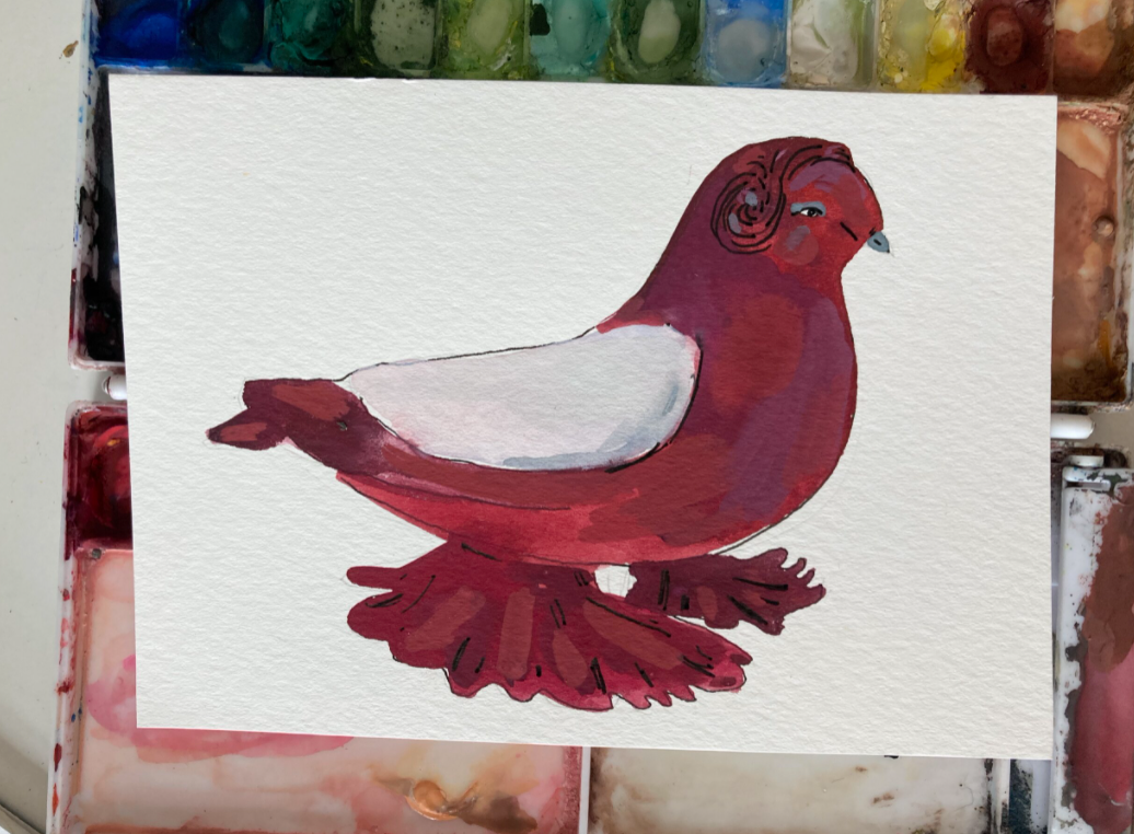 Red Russian Trumpeter Pigeon, painting on paper