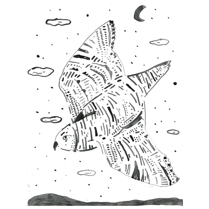 Short Eared Owl, ink wash on paper