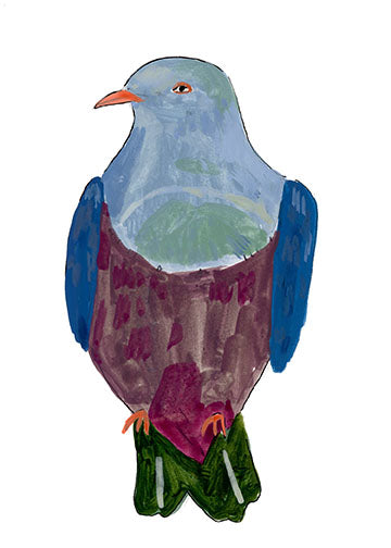 Spotted Imperial Pigeon, painting on paper