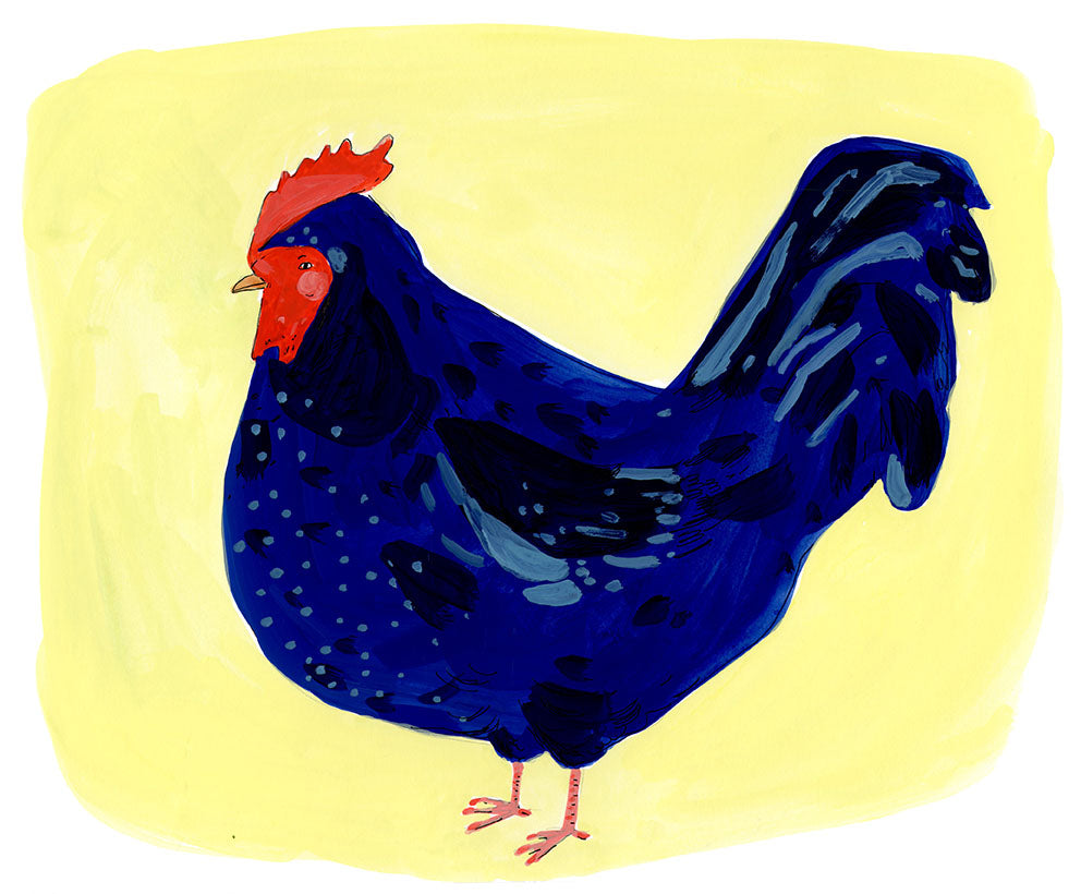 Navy Blue Rooster