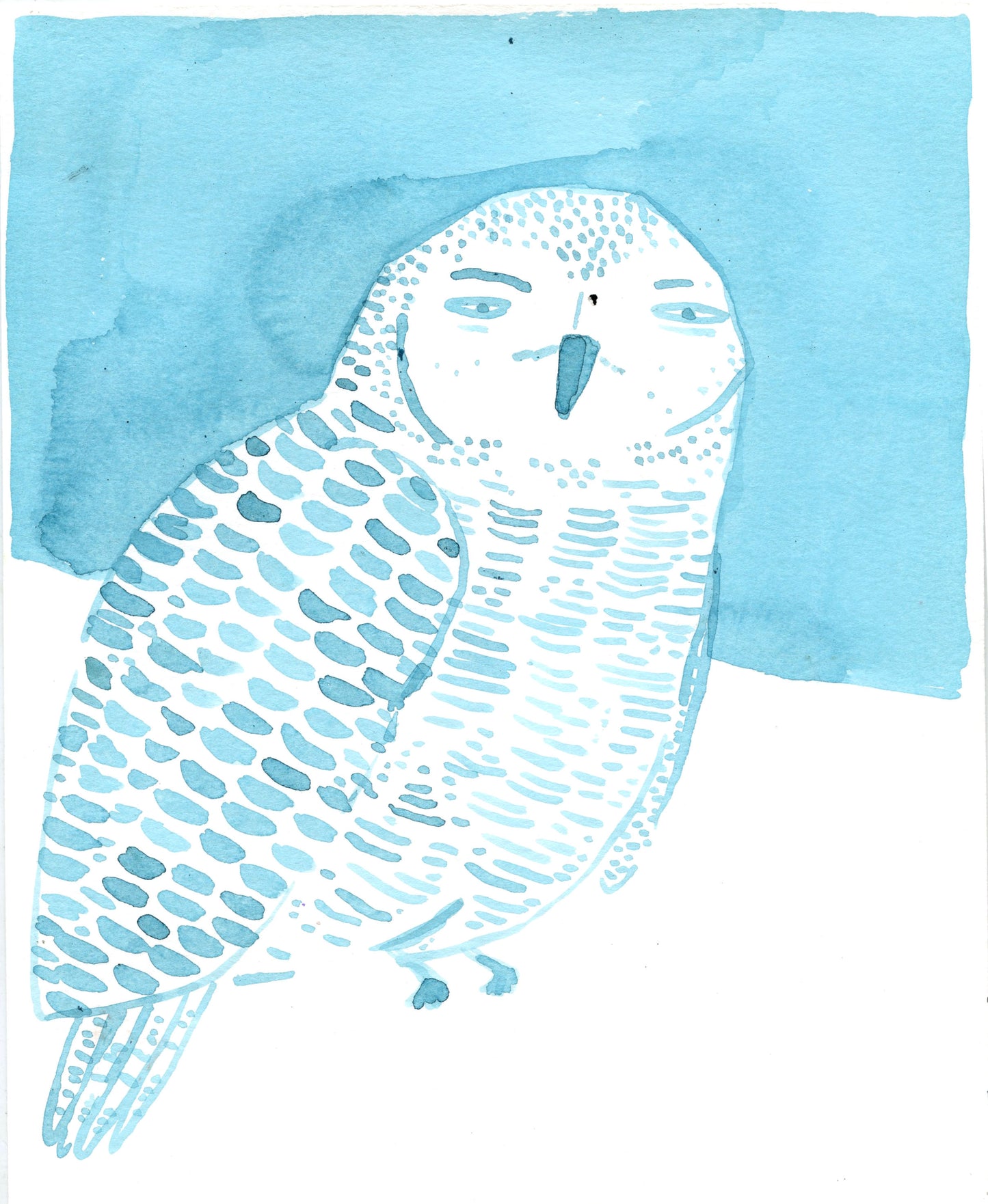 Spotted Owl, ink wash on paper