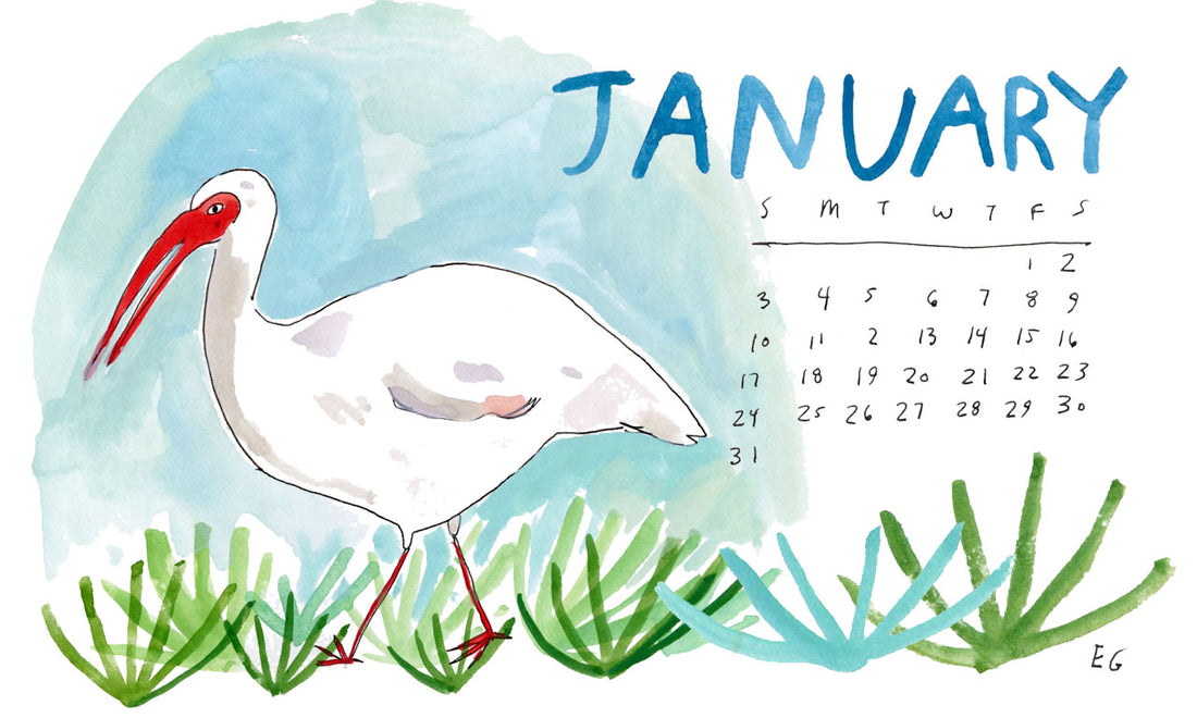 January Calendar