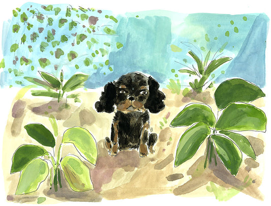 Pet portraits to benefit Logan Circle Main Street