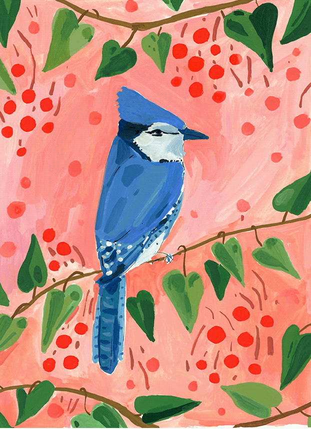 Blue Jays