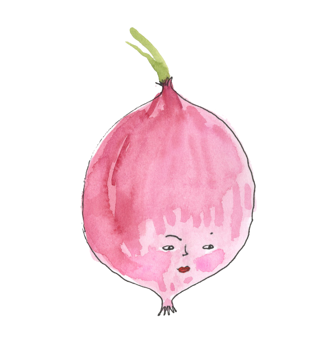 Pickled Red Onions