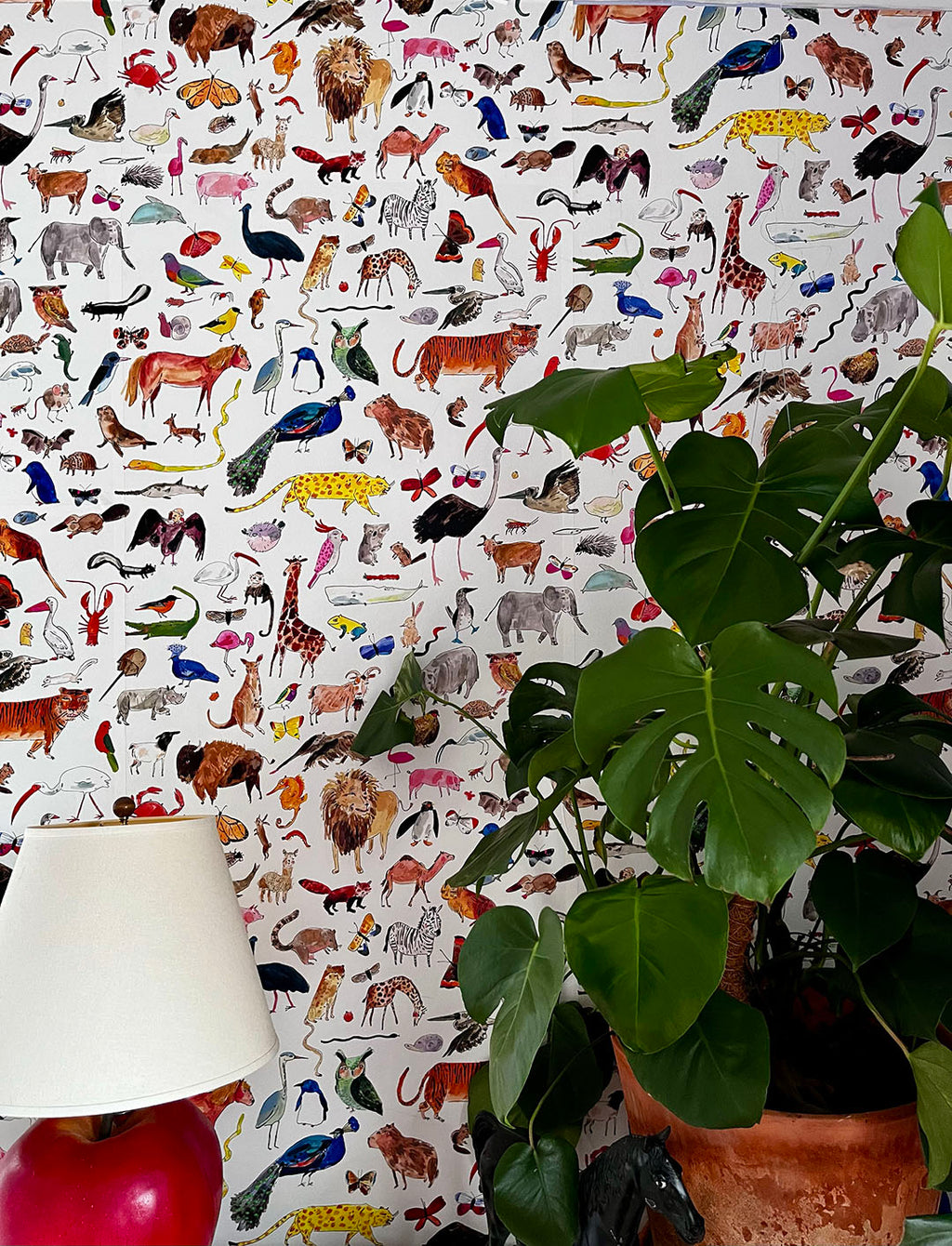 Animals Animals Wallpaper