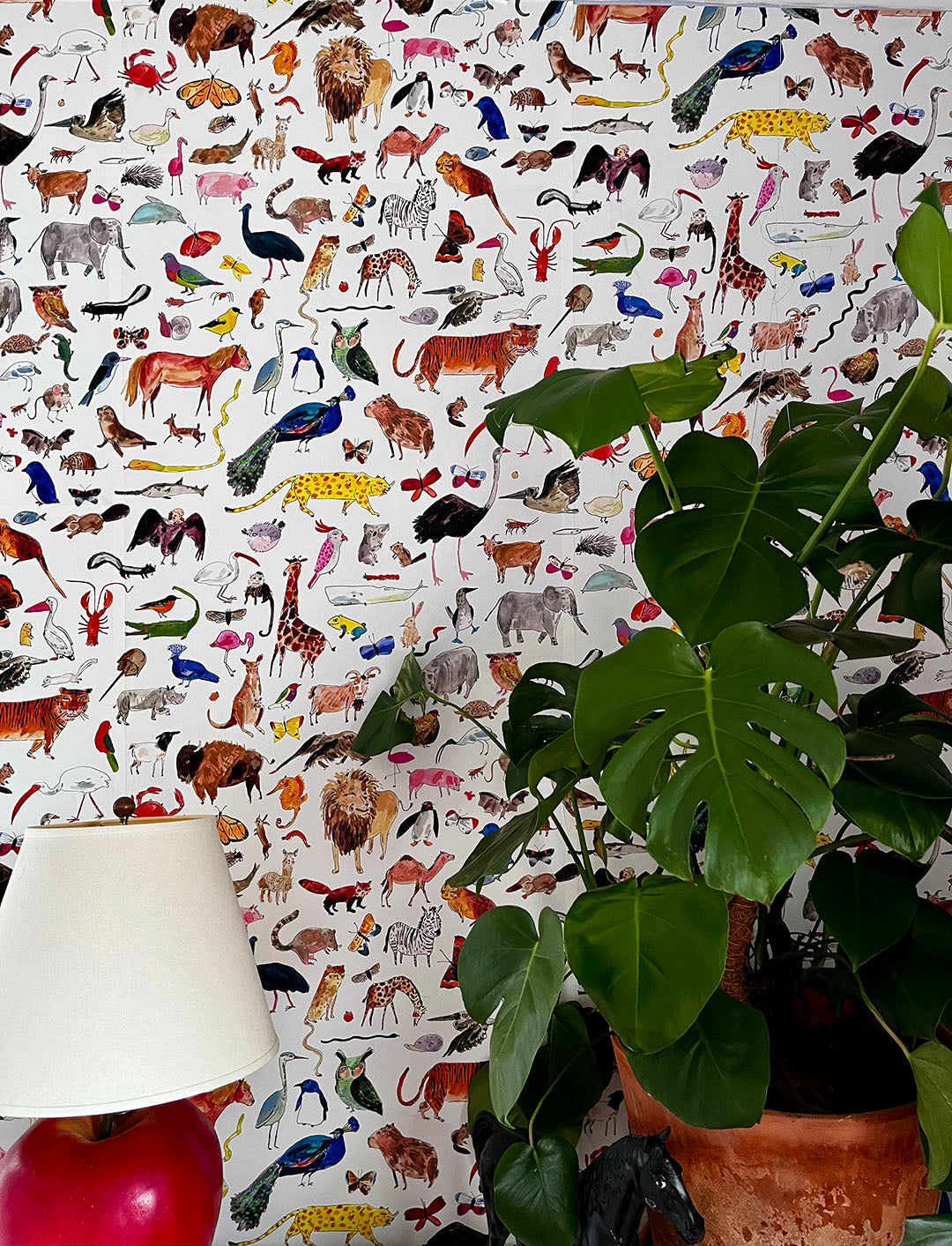 Animals Animals Wallpaper