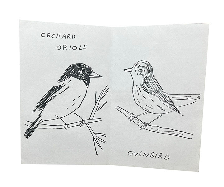 Birds of Baltimore zine