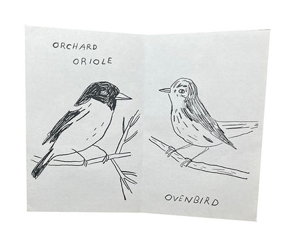 Birds of Baltimore zine