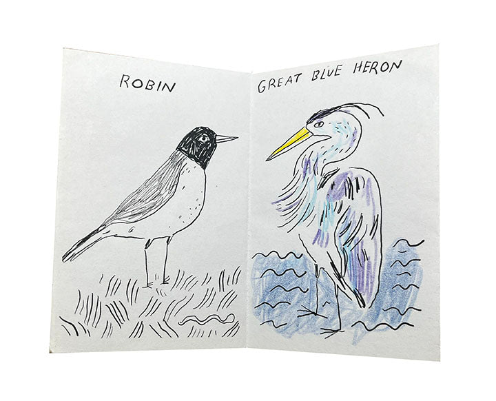 Birds of Baltimore zine