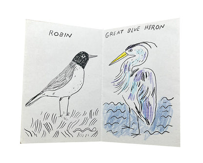 Birds of Baltimore zine