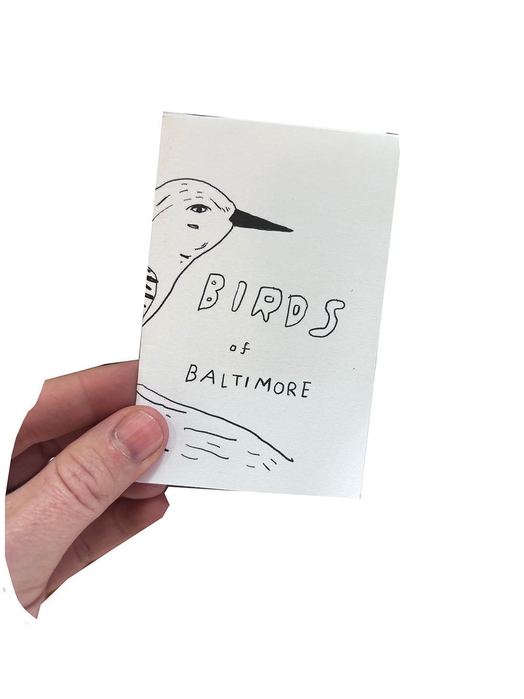 Birds of Baltimore zine