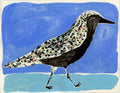 Black Bellied Plover, painting on paper