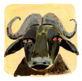 Cape Buffalo Portrait