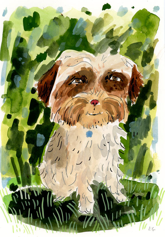 Small dog portraits, 5" by 7"