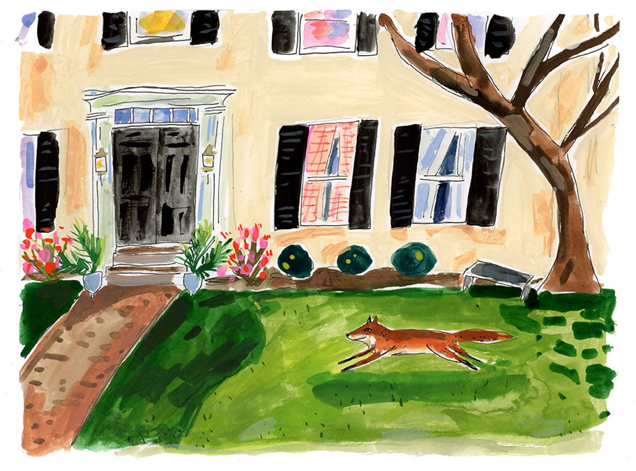 Fox running