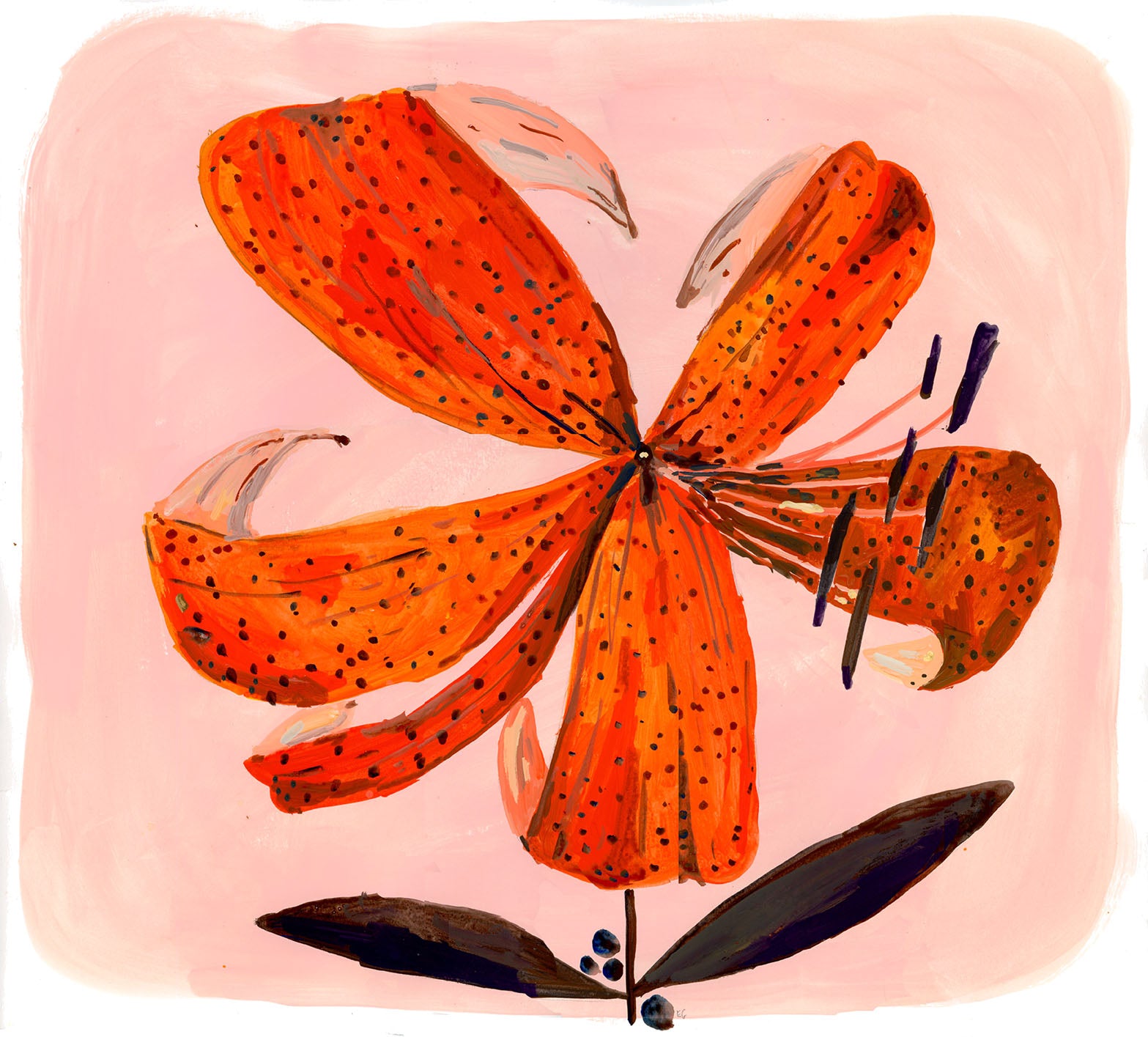 Large tiger lily painting on paper
