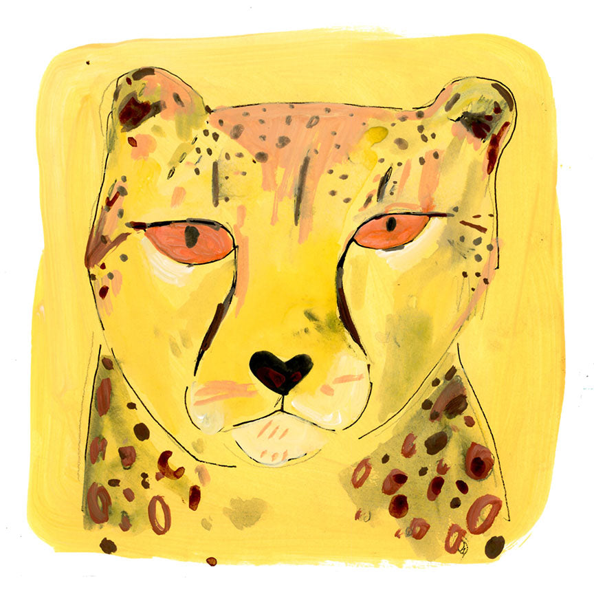Cheetah Portrait
