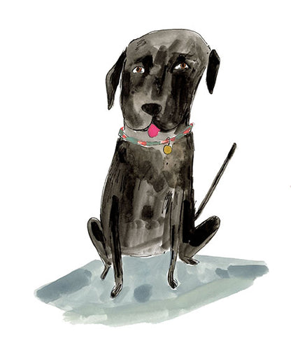 Small dog portraits, 5" by 7"