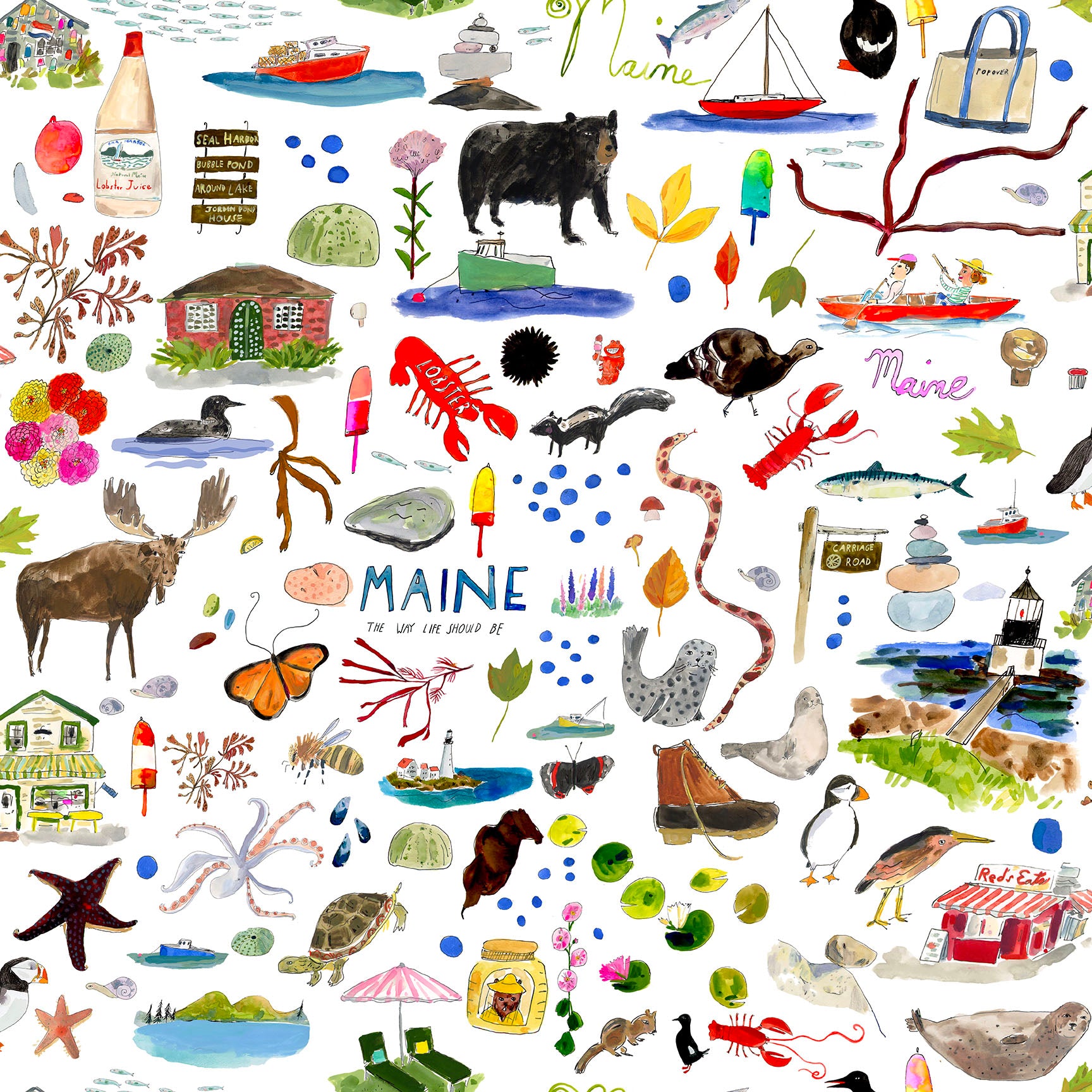 Maine Wallpaper