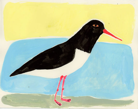 Oyster Catcher, painting on paper