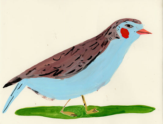 Red-cheeked Cordonbleu Bird, painting on paper