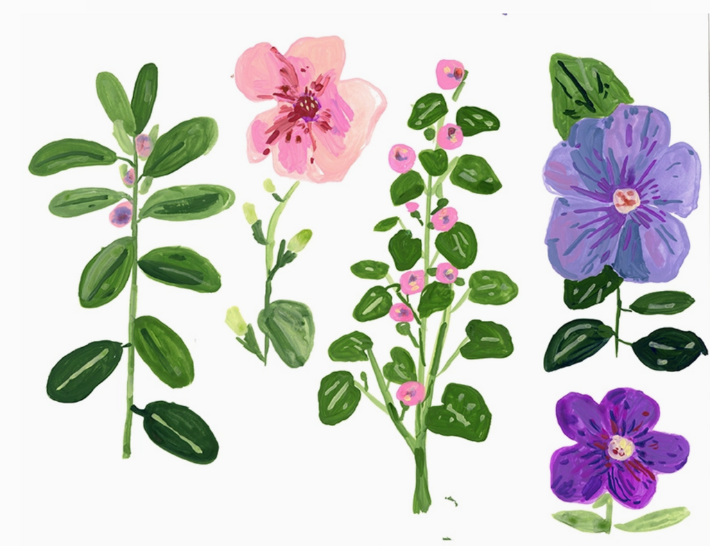 Thank You, Garden Flowers Notecard