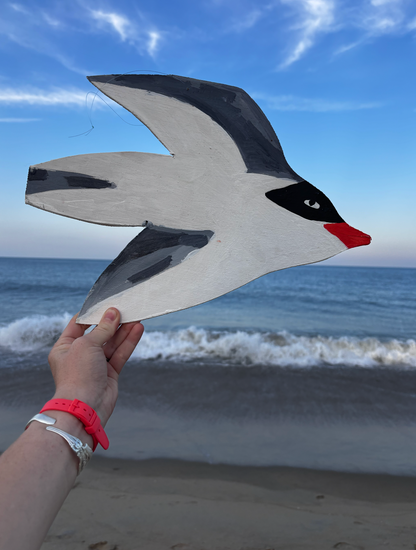 Flying tern bird