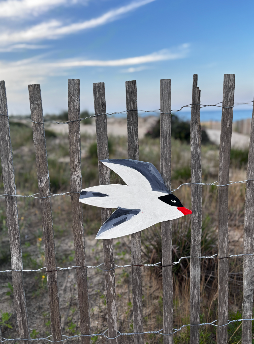 Flying tern bird