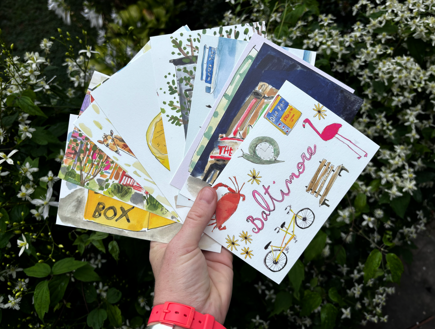 Baltimore postcard pack