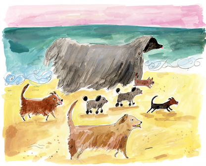 Dog Prints