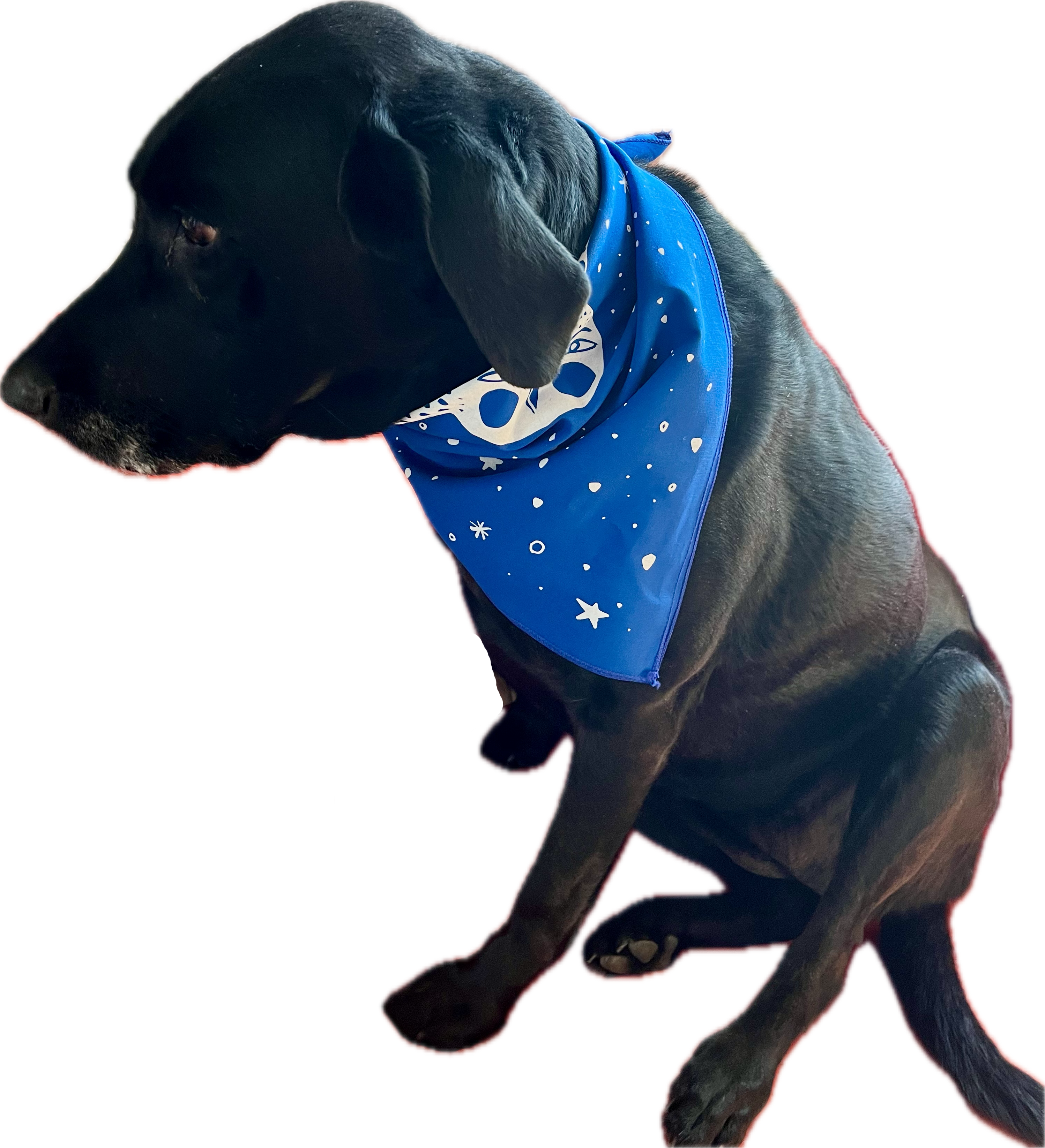 Owl Bandana, screen printed cotton scarf