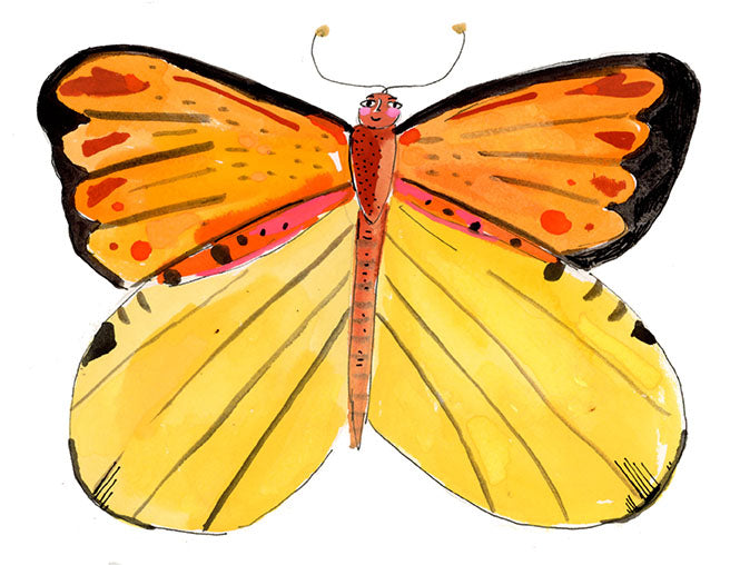 Butterfly paintings on paper