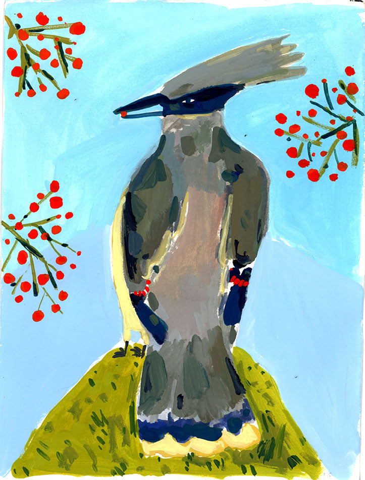 Cedar Waxwing bird, painting on paper