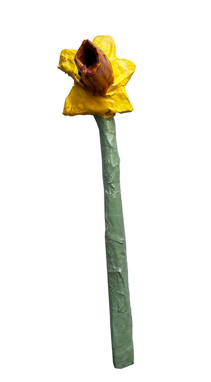 Daffodils, paper mache